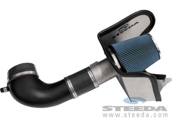 Cold Air Intake - Black Inlet w/ Black Hoses